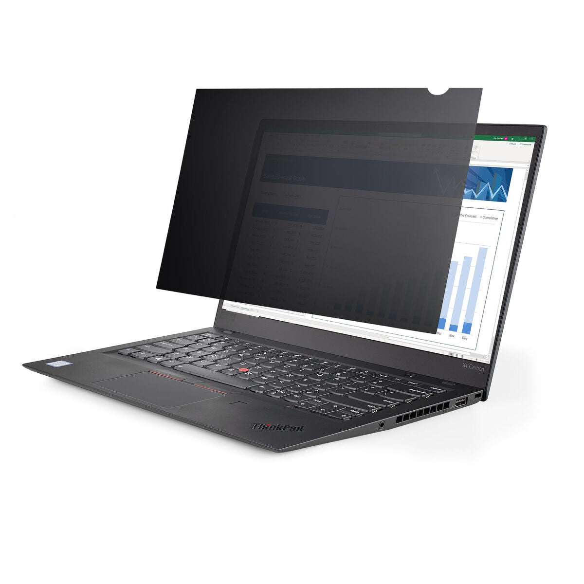 Privacy Filter for Monitor Startech 156L-0