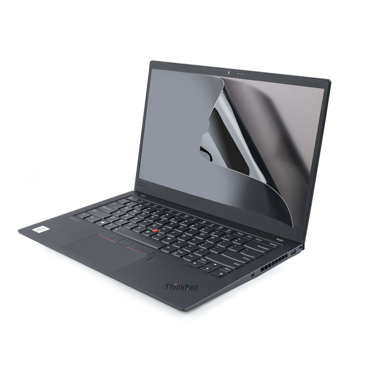 Privacy Filter for Monitor Startech 156L-1